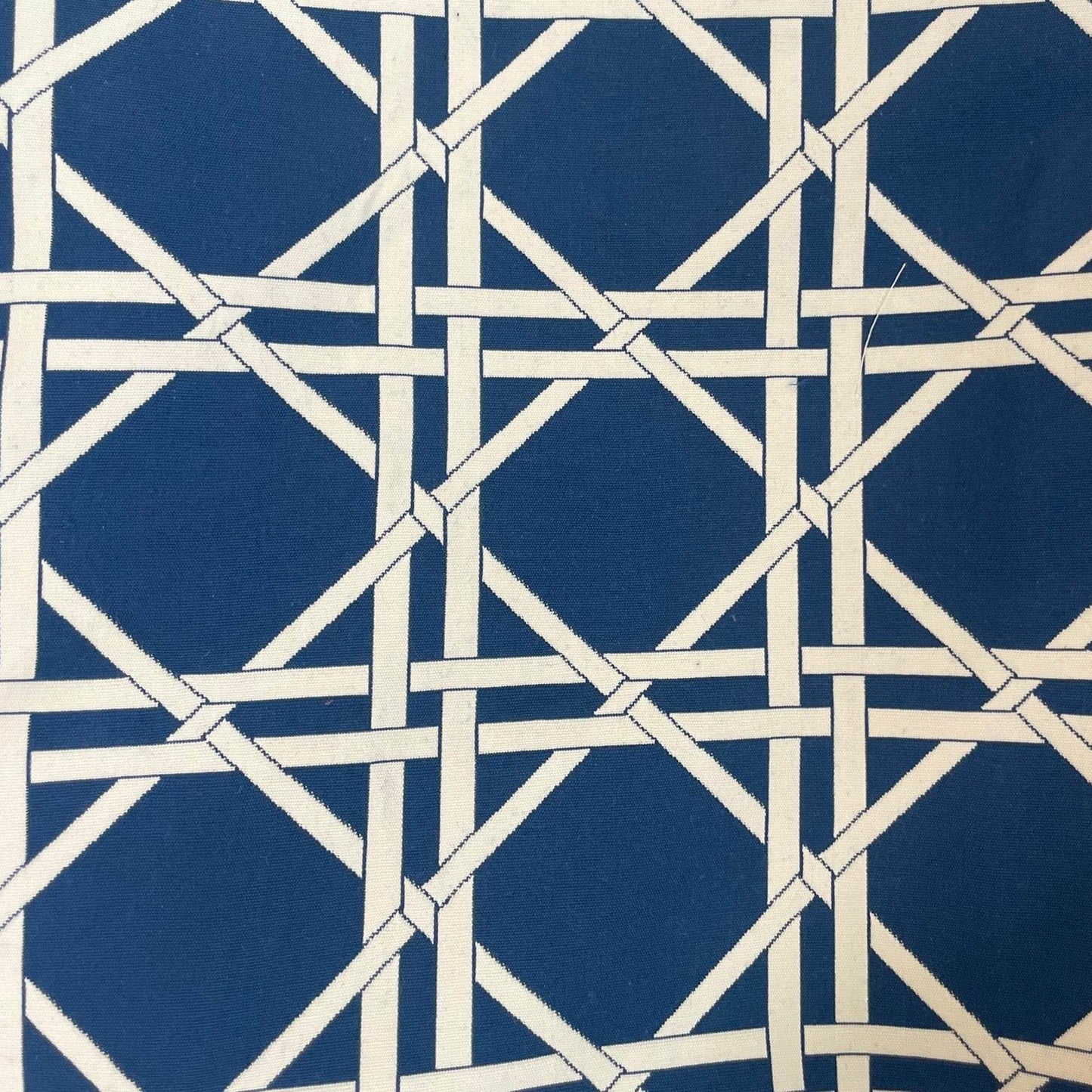 DaVinci Blue and White Luxury Throw Pillow - Plutus Brands
