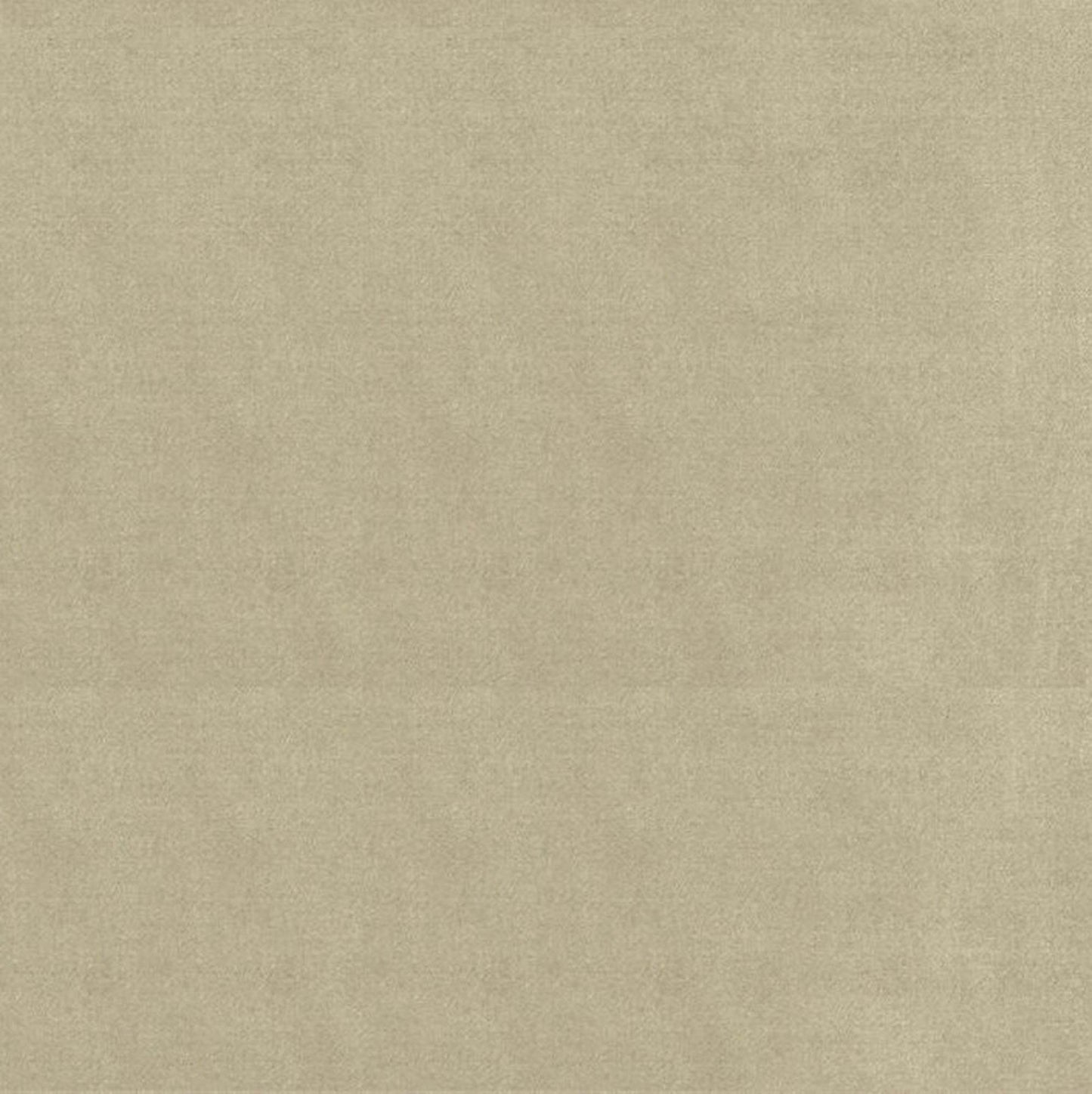 Plutus Oyster Solid Shiny Velvet Luxury Throw Pillow - Plutus Brands