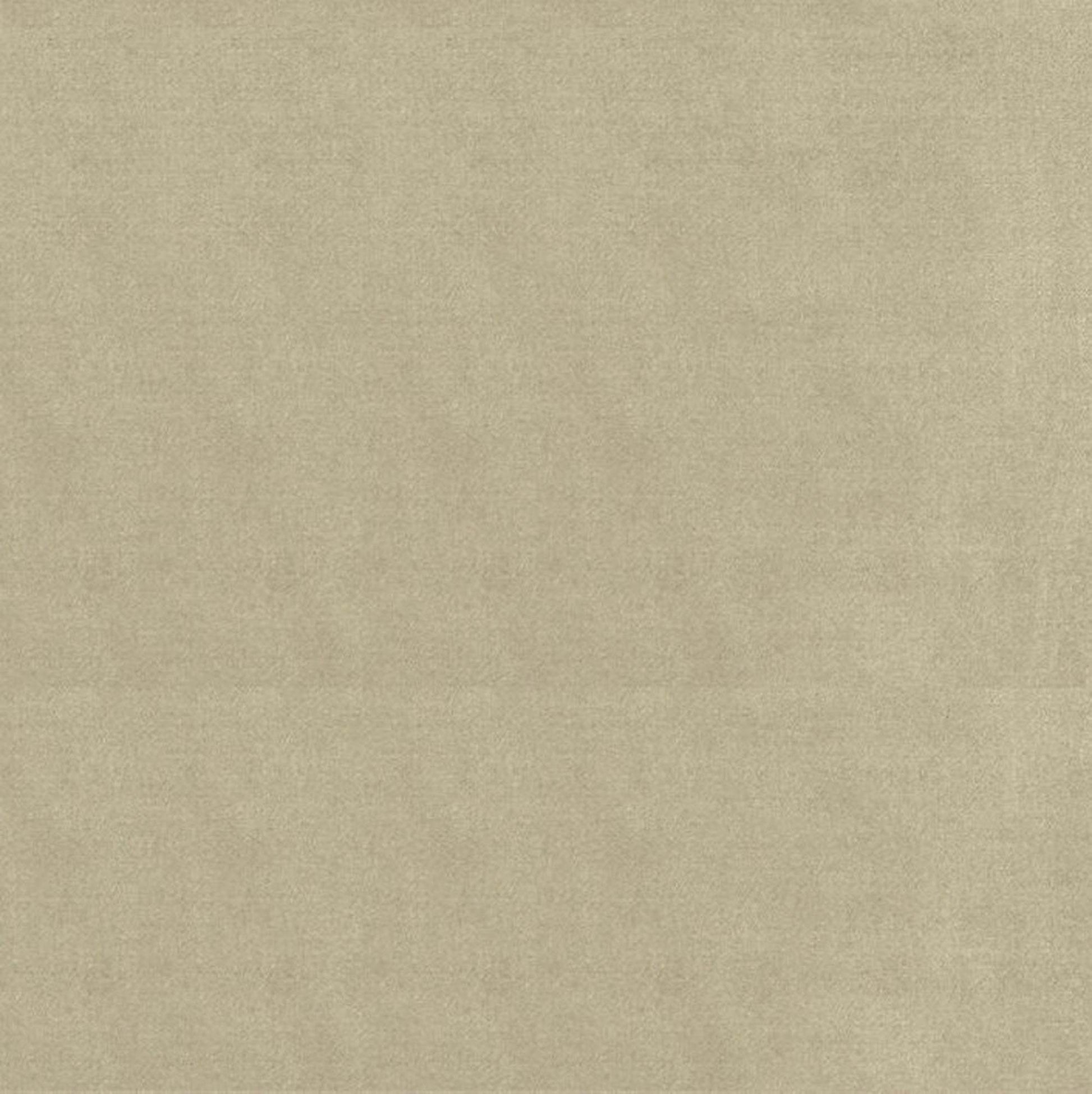 Plutus Oyster Solid Shiny Velvet Luxury Throw Pillow - Plutus Brands