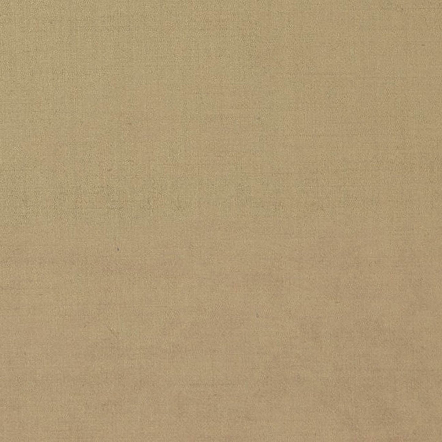 Plutus Sand Solid Shiny Velvet Luxury Throw Pillow - Plutus Brands