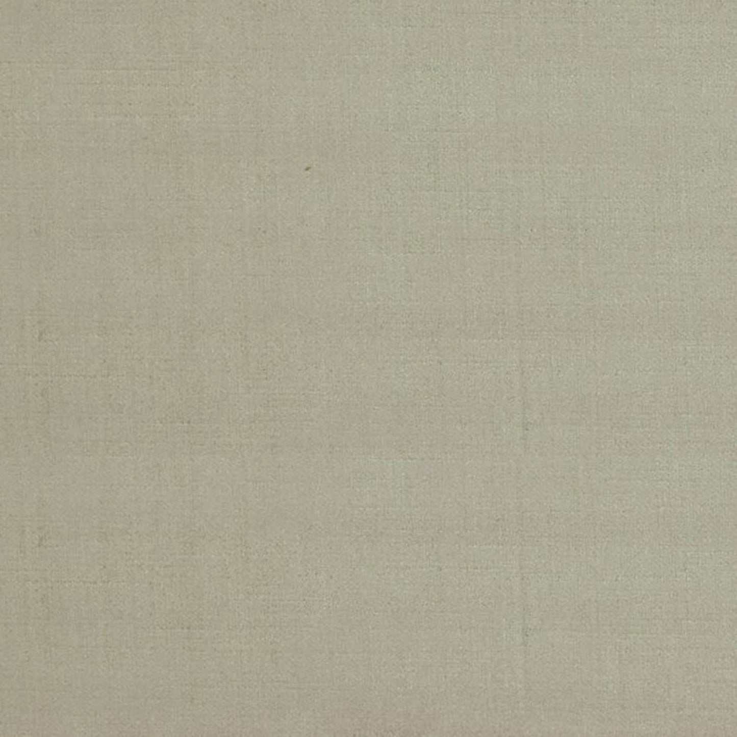 Plutus Light Grey Solid Shiny Velvet Luxury Throw Pillow - Plutus Brands