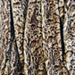 Jungle Cat Faux Fur Luxury Throw